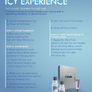 NEW! Icy Experience Home Kit (part of the Kryotherapy -Zero° Haircare line)
