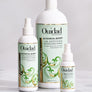 Botanical Boost Curl Energizing & Refreshing Spray