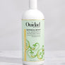 Botanical Boost Curl Energizing & Refreshing Spray